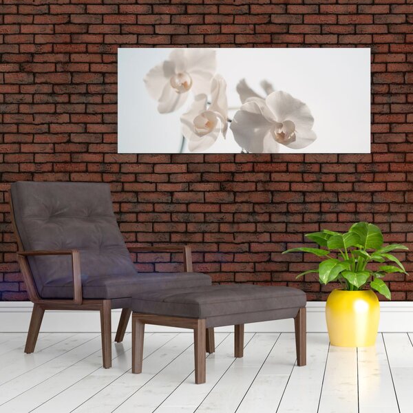 Slika bijele orhideje (120x50 cm)