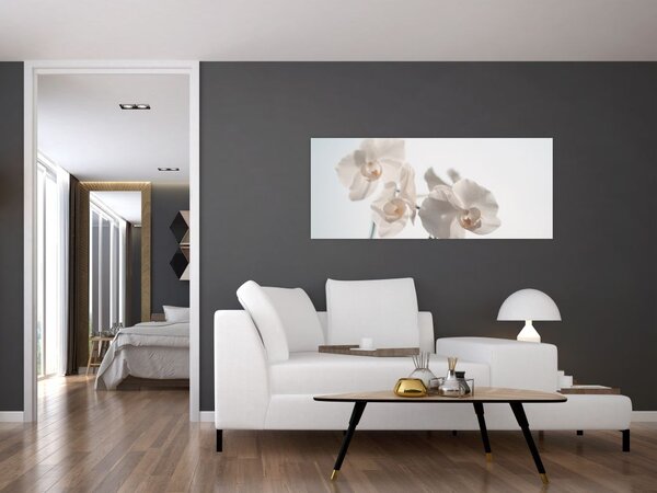 Slika bijele orhideje (120x50 cm)