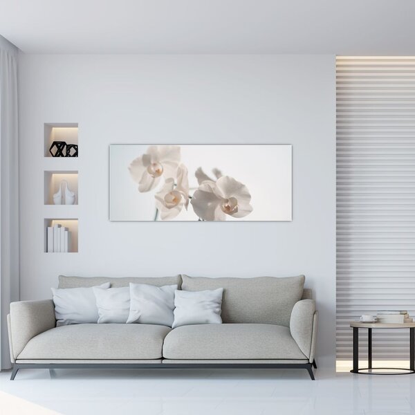 Slika bijele orhideje (120x50 cm)