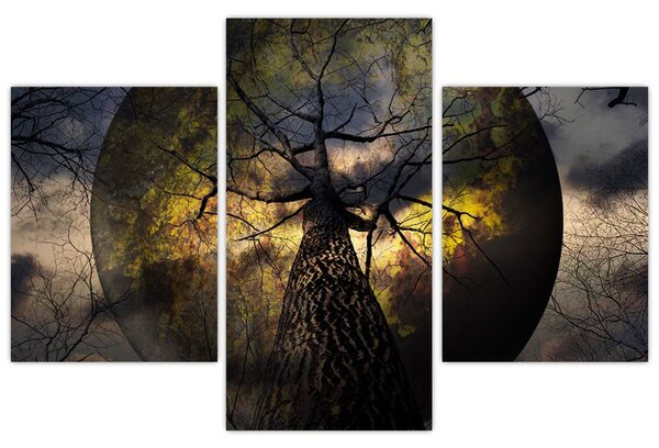 Slika - Tajanstveno nebo (90x60 cm)