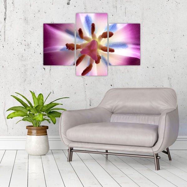 Slika - Cvijet tulipana u detalju (90x60 cm)