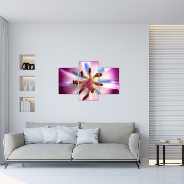 Slika - Cvijet tulipana u detalju (90x60 cm)