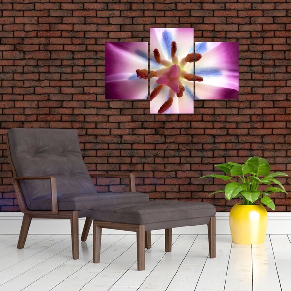 Slika - Cvijet tulipana u detalju (90x60 cm)
