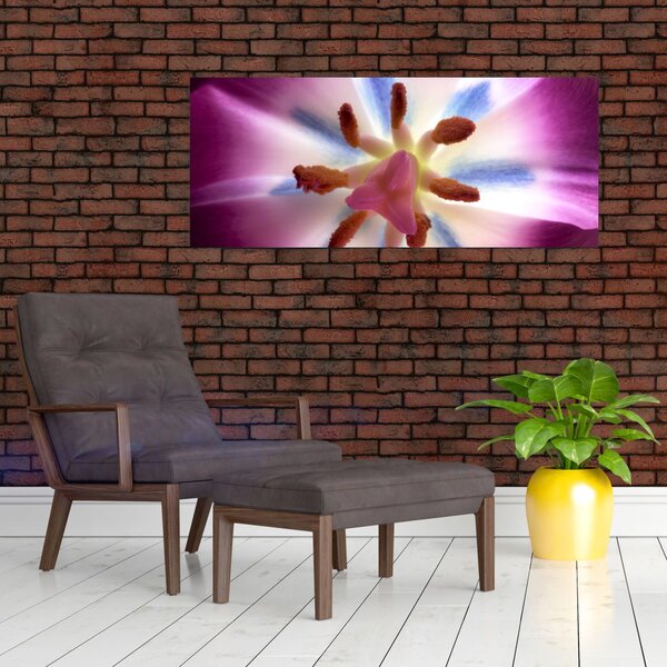 Slika - Cvijet tulipana u detalju (120x50 cm)