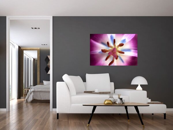 Slika - Cvijet tulipana u detalju (90x60 cm)