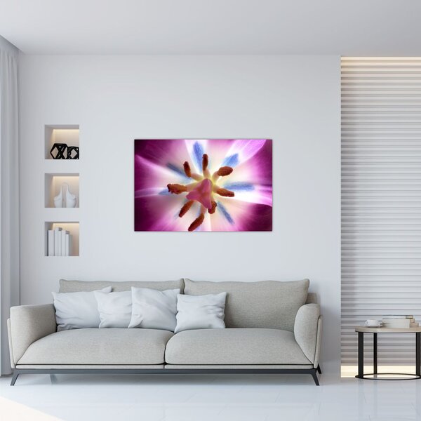 Slika - Cvijet tulipana u detalju (90x60 cm)