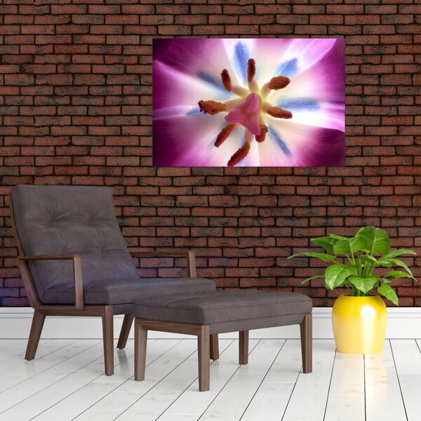 Slika - Cvijet tulipana u detalju (90x60 cm)