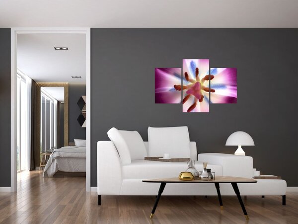 Slika - Cvijet tulipana u detalju (90x60 cm)