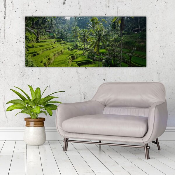 Slika rižinih terasa Tegalalang, Bali (120x50 cm)