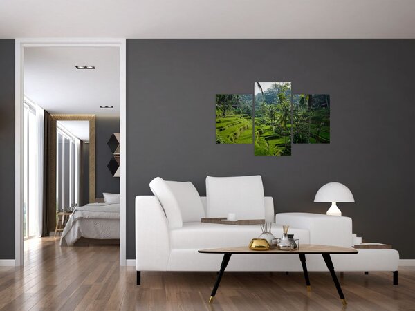 Slika rižinih terasa Tegalalang, Bali (90x60 cm)
