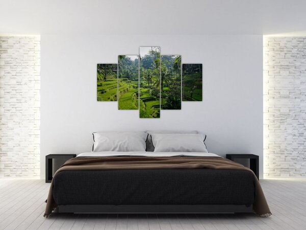 Slika rižinih terasa Tegalalang, Bali (150x105 cm)
