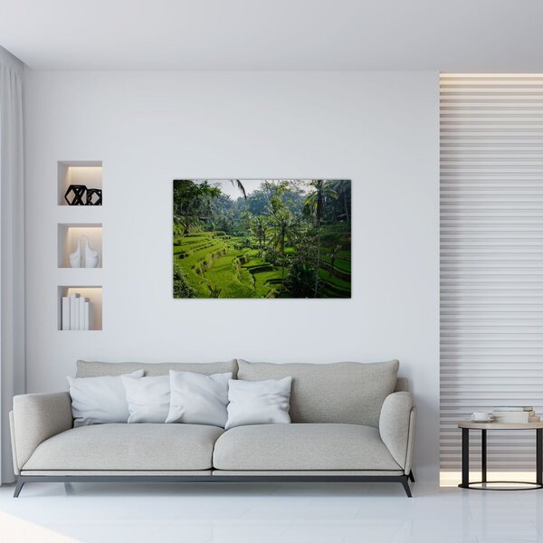 Slika rižinih terasa Tegalalang, Bali (90x60 cm)