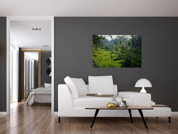 Slika rižinih terasa Tegalalang, Bali (90x60 cm)