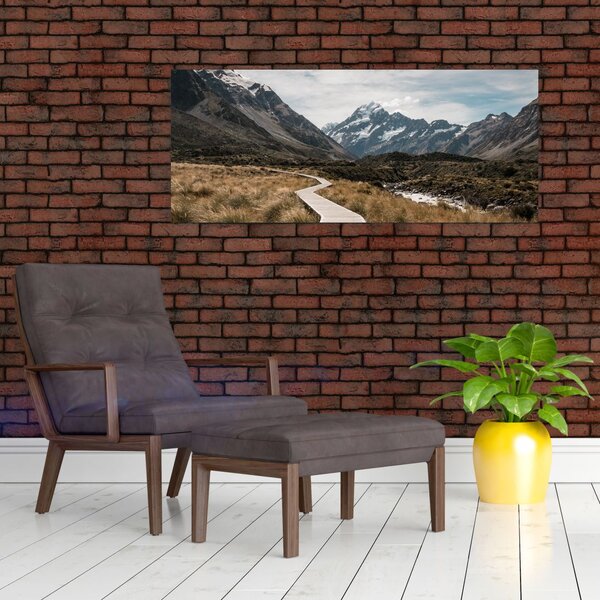 Slika - Šetnica u dolini planine Mt. Cook (120x50 cm)