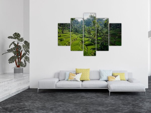 Slika rižinih terasa Tegalalang, Bali (150x105 cm)