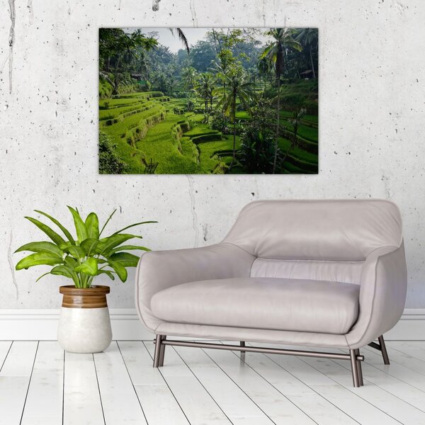 Slika rižinih terasa Tegalalang, Bali (90x60 cm)