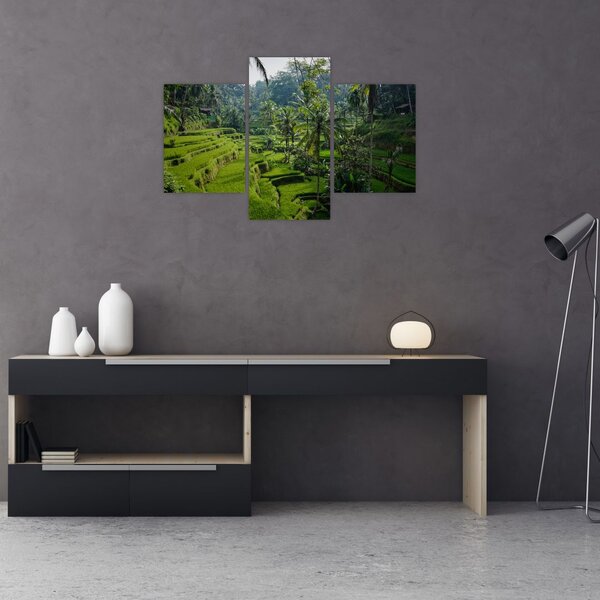 Slika rižinih terasa Tegalalang, Bali (90x60 cm)