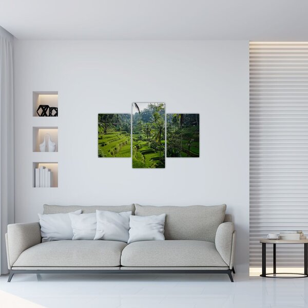 Slika rižinih terasa Tegalalang, Bali (90x60 cm)