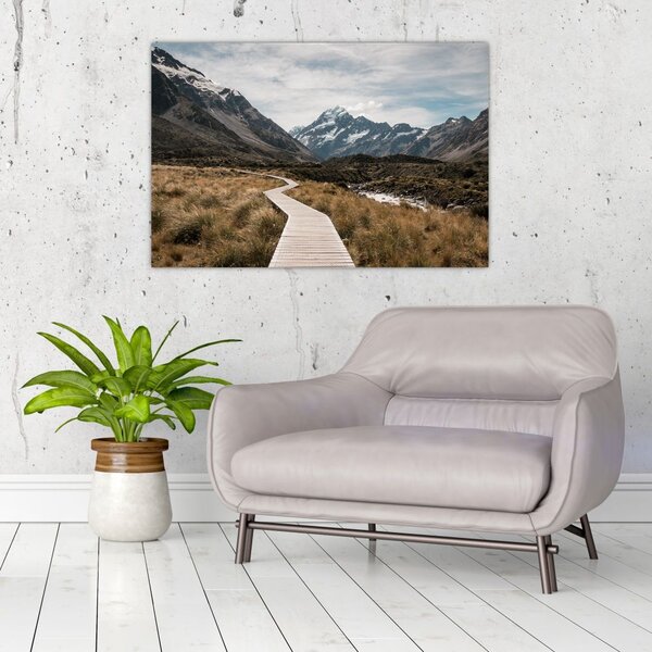 Slika - Šetnica u dolini planine Mt. Cook (90x60 cm)