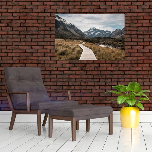 Slika - Šetnica u dolini planine Mt. Cook (90x60 cm)