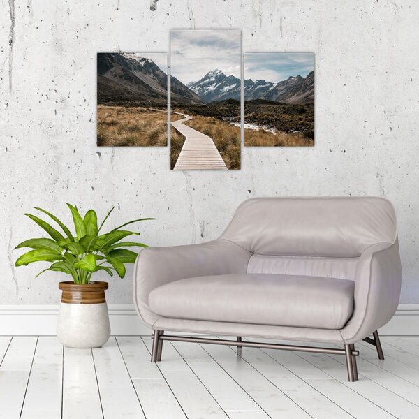 Slika - Šetnica u dolini planine Mt. Cook (90x60 cm)