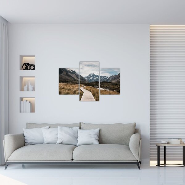 Slika - Šetnica u dolini planine Mt. Cook (90x60 cm)