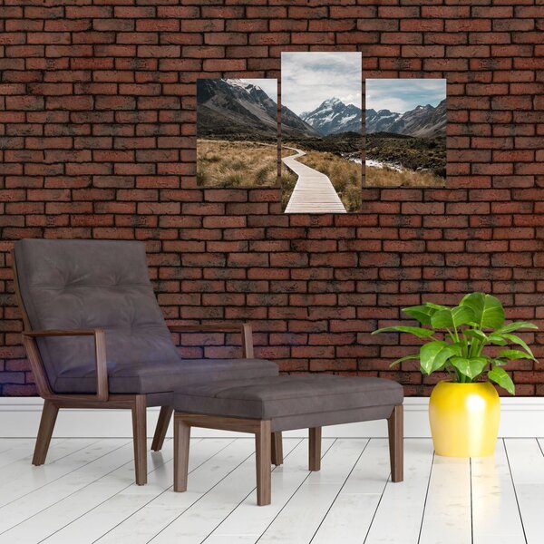 Slika - Šetnica u dolini planine Mt. Cook (90x60 cm)