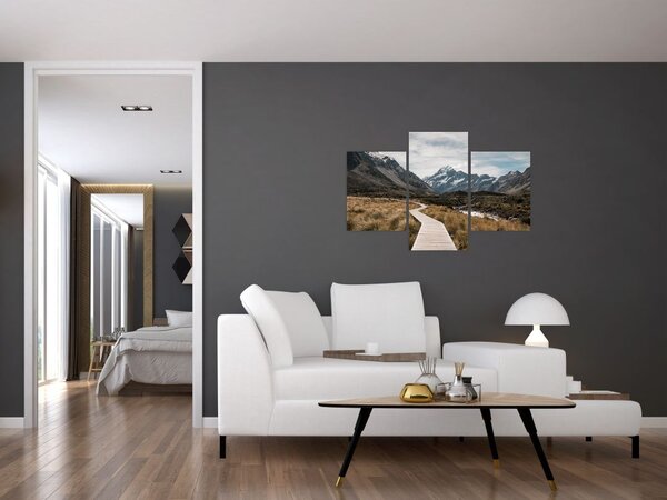 Slika - Šetnica u dolini planine Mt. Cook (90x60 cm)