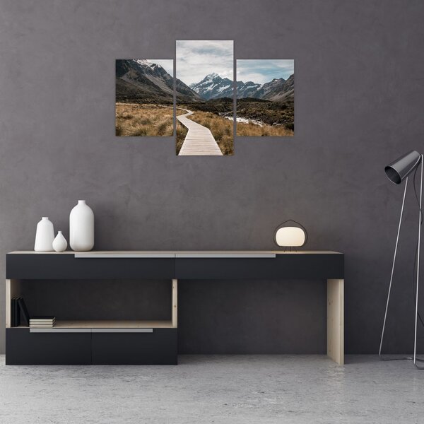Slika - Šetnica u dolini planine Mt. Cook (90x60 cm)