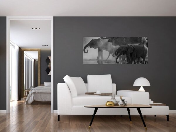 Slika slonova - crno-bijela (120x50 cm)