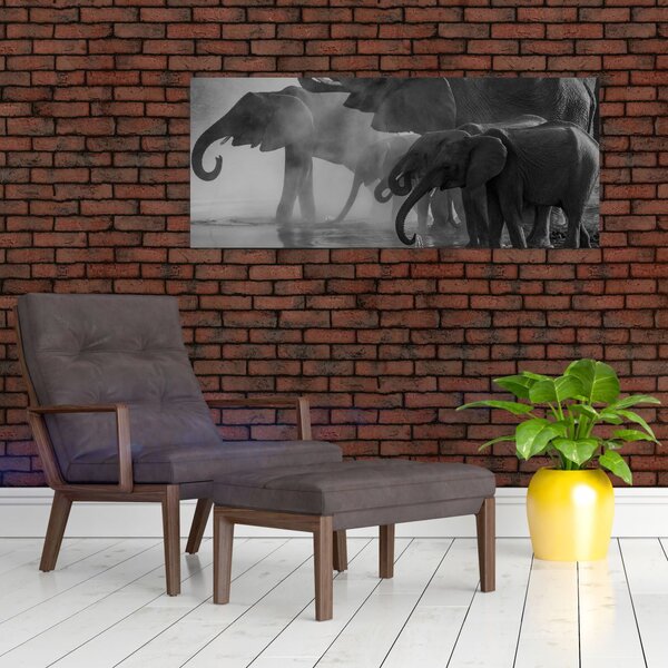 Slika slonova - crno-bijela (120x50 cm)