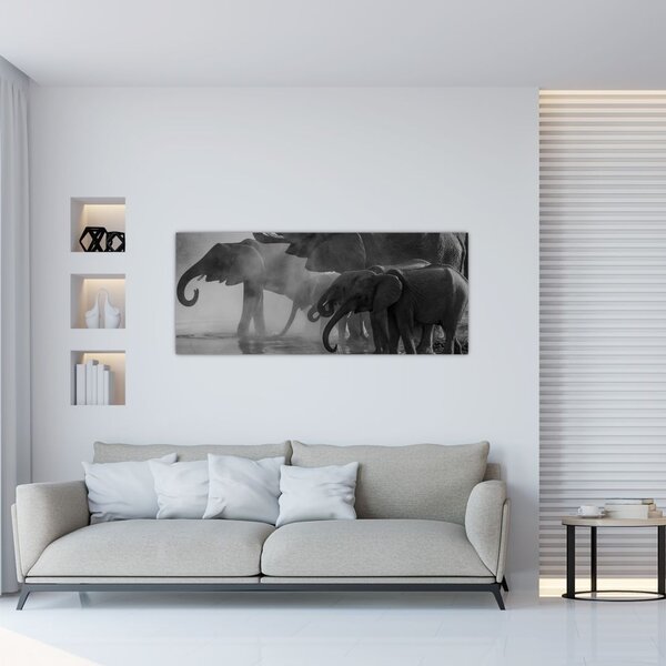 Slika slonova - crno-bijela (120x50 cm)