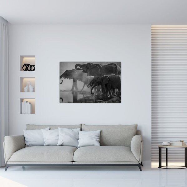 Slika slonova - crno-bijela (90x60 cm)