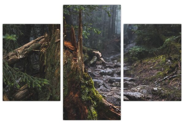 Slika - U šumi (90x60 cm)