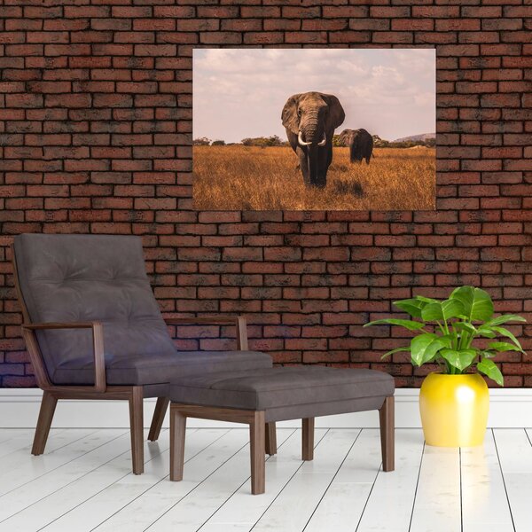 Slika - Dolazak slona (90x60 cm)