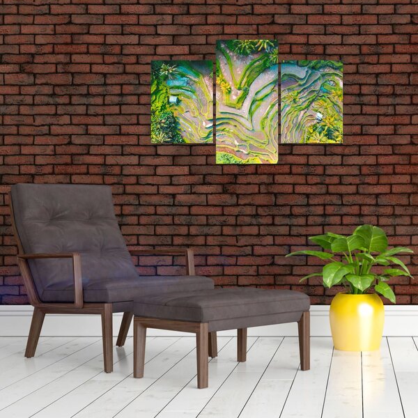 Slika rižinih polja iz ptičje perspektive (90x60 cm)