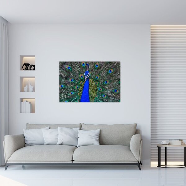 Slika - Paun (90x60 cm)