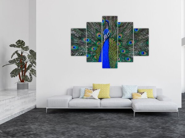 Slika - Paun (150x105 cm)