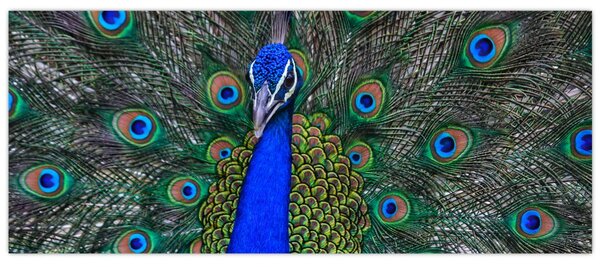 Slika - Paun (120x50 cm)