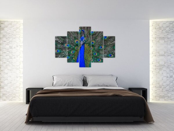 Slika - Paun (150x105 cm)