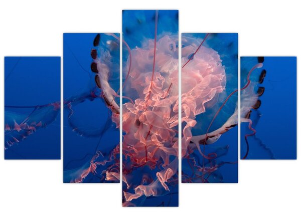 Slika meduze (150x105 cm)