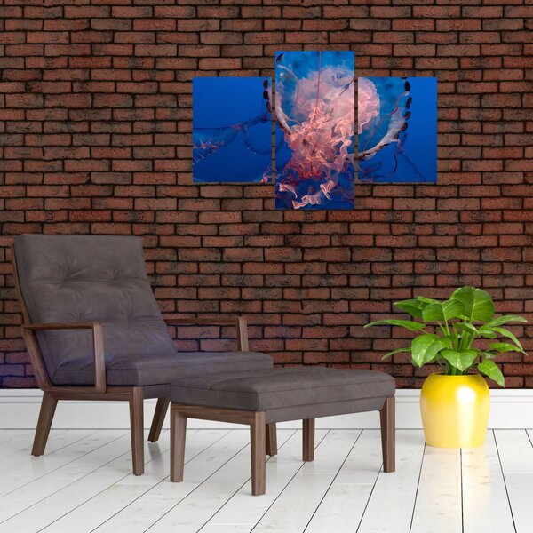 Slika meduze (90x60 cm)