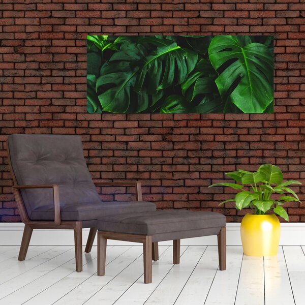 Slika lišća Monstery (120x50 cm)