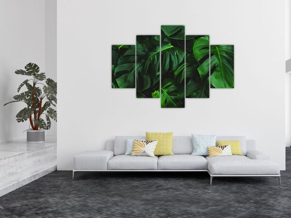 Slika lišća Monstery (150x105 cm)