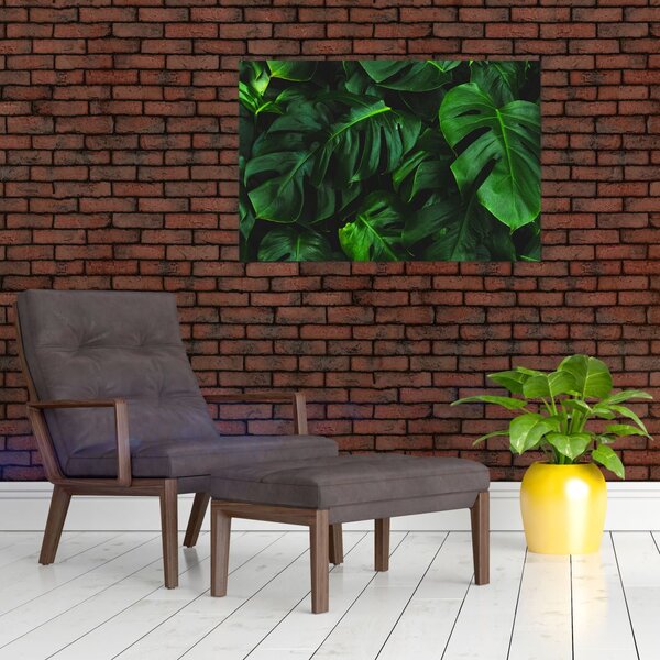 Slika lišća Monstery (90x60 cm)