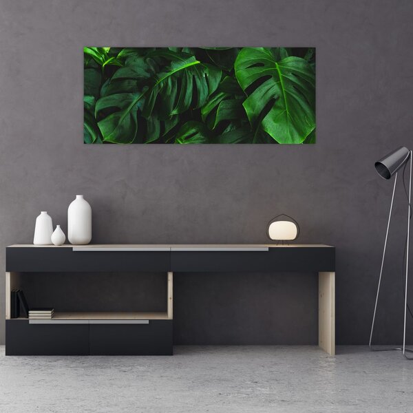 Slika lišća Monstery (120x50 cm)