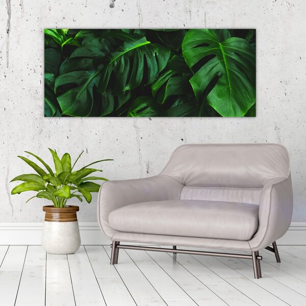 Slika lišća Monstery (120x50 cm)