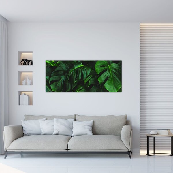Slika lišća Monstery (120x50 cm)
