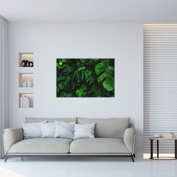 Slika lišća Monstery (90x60 cm)