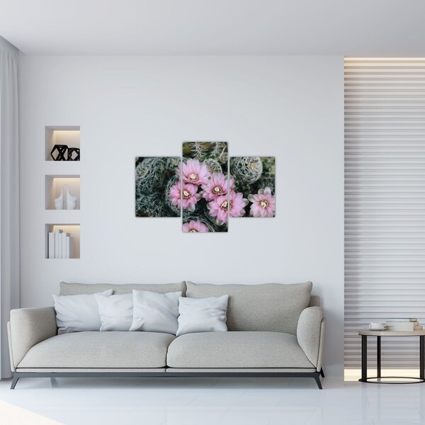 Slika cvijeta kaktusa (90x60 cm)